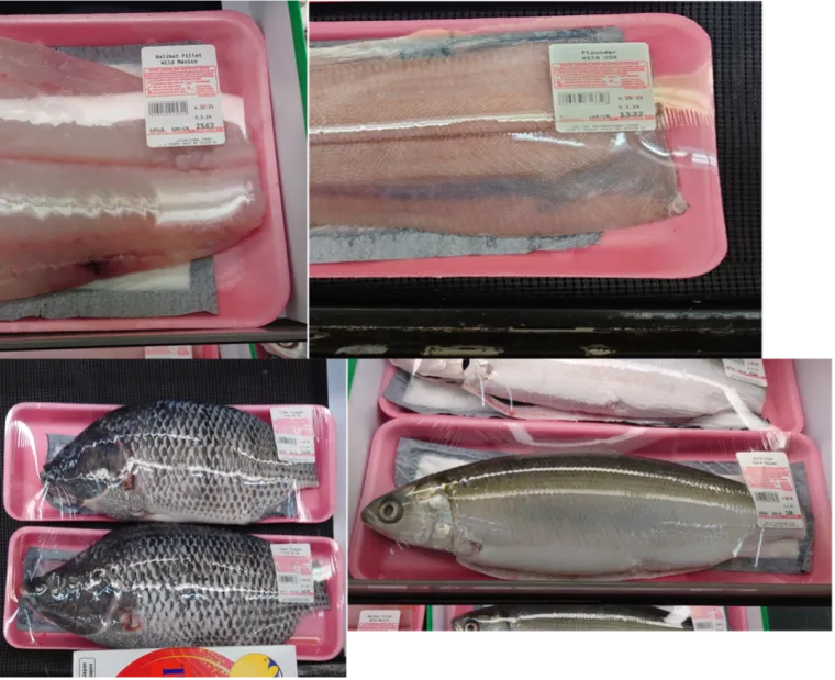 Shelf-stable fresh fish for sale at Lee Lee International Supermarkets including Halibut Fillet (Labeled Wild Mexico), Flounder (Wild USA), Clean Tilapia (Farm China), MilkFish (Farm Taiwan)