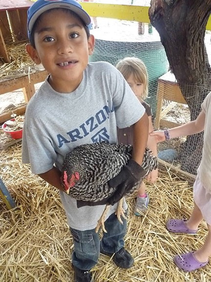 Child holding a spotted chicken