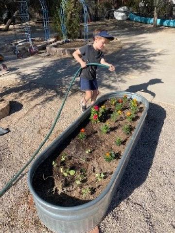 Watering the plants!