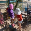 Gathering native soil to mix with compost for soil blocking