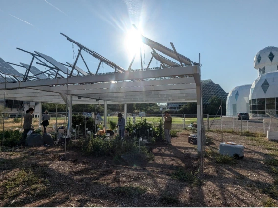 Figure 1: The SALSA agrivoltaic research site at Biosphere 2, Arizona
