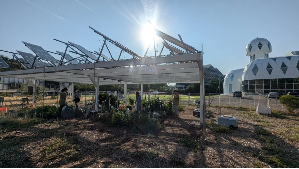 Figure 1: The SALSA agrivoltaic research site at Biosphere 2, Arizona