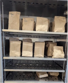Figure 3: Samples being dried in our oven